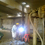 Plants: image 19 0f 50 thumb