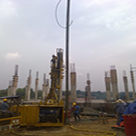 Plants: image 2 0f 50 thumb