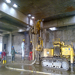 Plants: image 20 0f 50 thumb