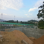 Plants: image 5 0f 50 thumb