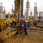 Plants: image 3 0f 50 thumb