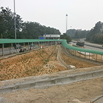 Plants: image 12 0f 50 thumb