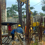 Plants: image 4 0f 50 thumb