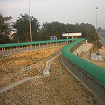 Plants: image 20 0f 50 thumb