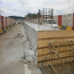 Plants: image 8 0f 50 thumb