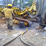 Plants: image 5 0f 50 thumb