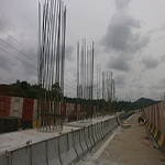 Plants: image 13 0f 50 thumb