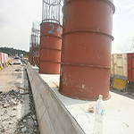 Plants: image 18 0f 50 thumb