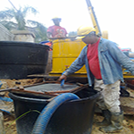 Plants: image 6 0f 50 thumb