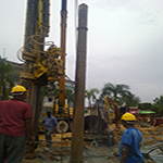 Plants: image 7 0f 50 thumb